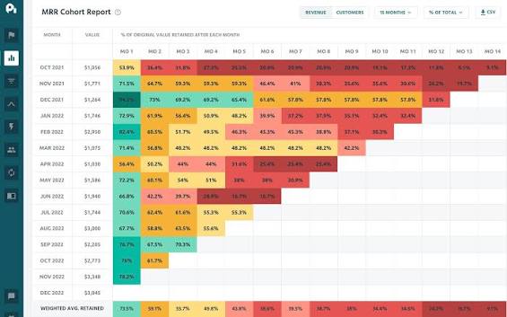 Revenue Retention Analysis project preview